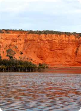 Redbanks, Port Augusta at the top of the Spencer Gulf, South Australia.