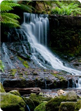 A beautiful waterfall in Horseshoe Falls Mount Field National Park, Tasmania Australia.