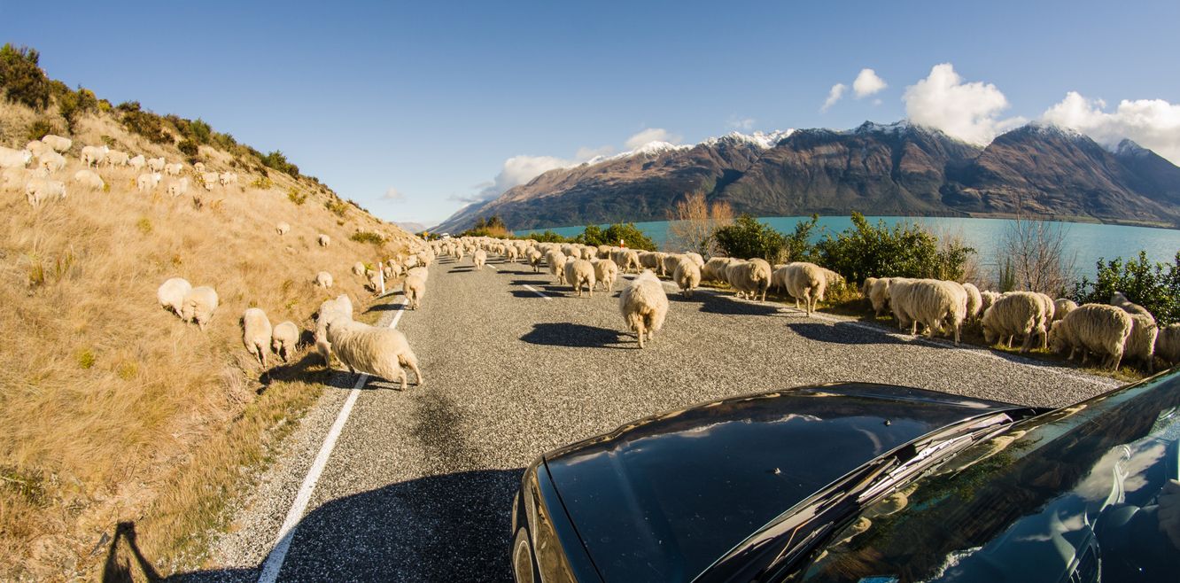 Two drivers in a car
