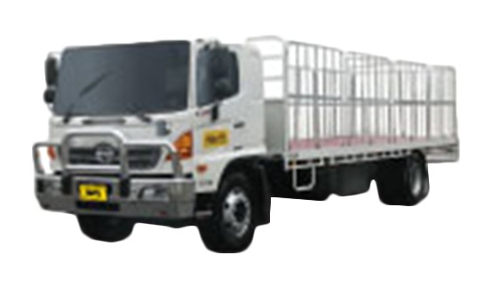 Standard Commercial Van/Truck