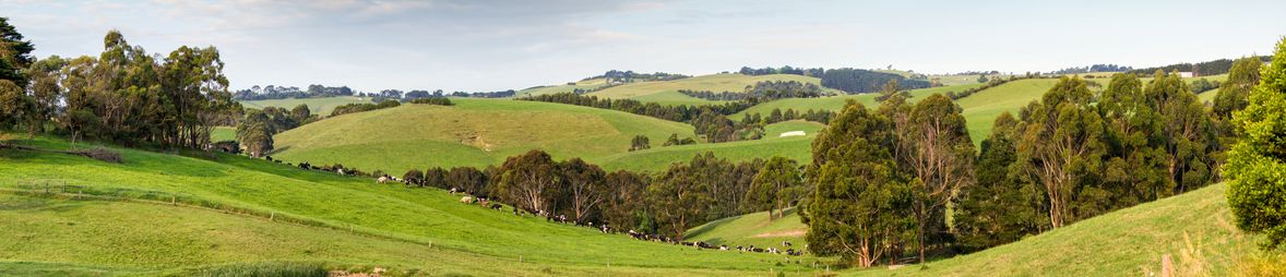 Wilsons Promontory countryside.