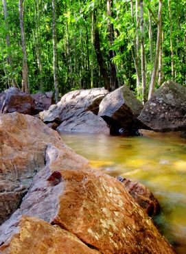Savour natural beauty on day trips from Darwin.